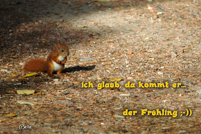 Fr�hling