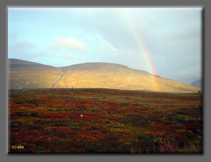 Lappland im Herbst 2003 - Elles Sicht