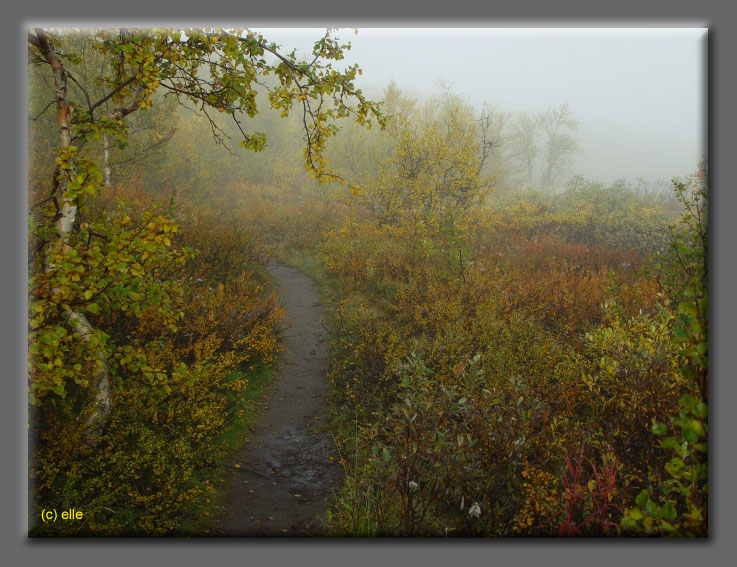 Lappland im Herbst 2003 - Elles Sicht