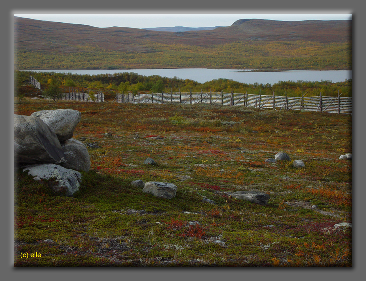 Lappland im Herbst 2003 - Elles Sicht
