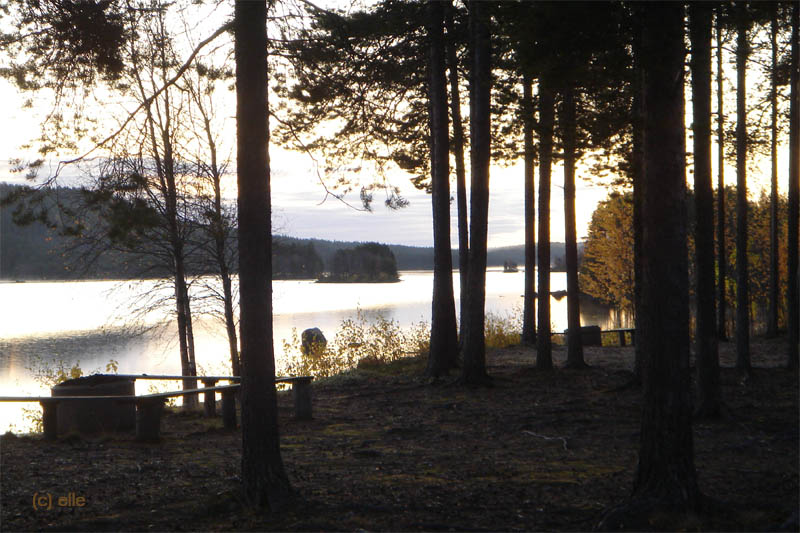 Jokkmokk - Sonnenaufgang am Lulelv