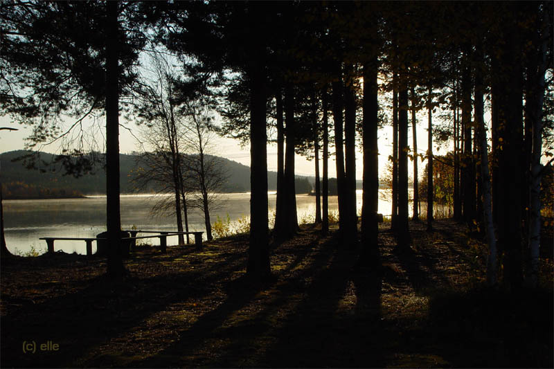 Jokkmokk - Sonnenaufgang am Lulelv