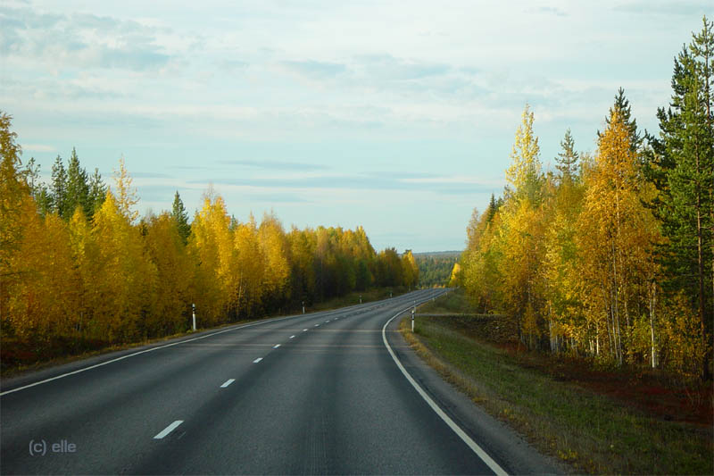 Kattilakoski - Stromschellen am Polarkreis