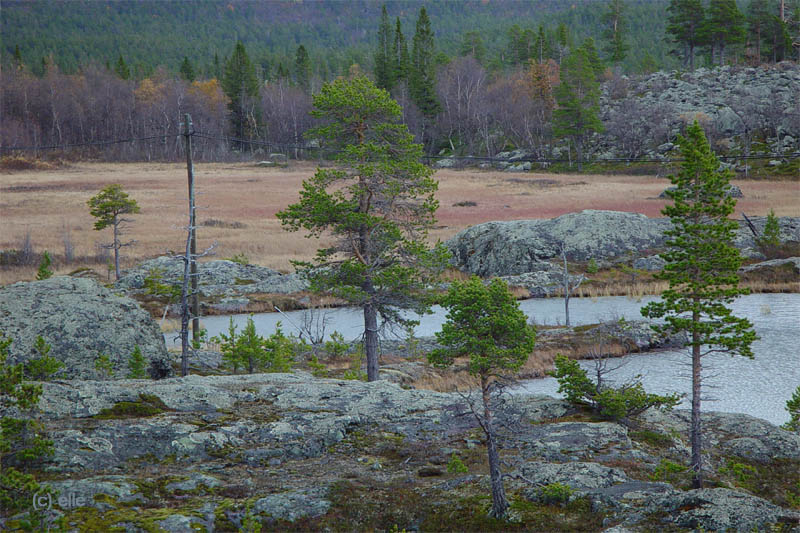 Laponia - Im Herzen Lapplands