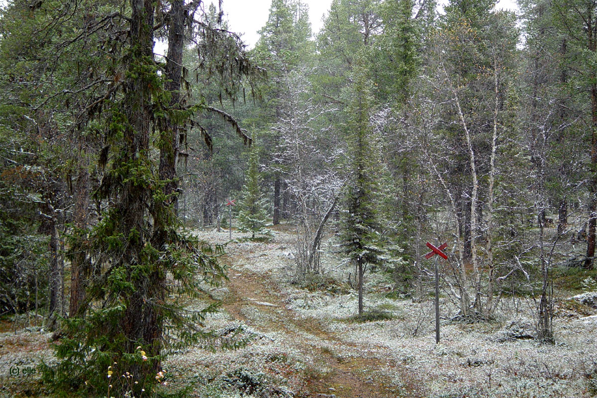 Laponia - Im Herzen Lapplands