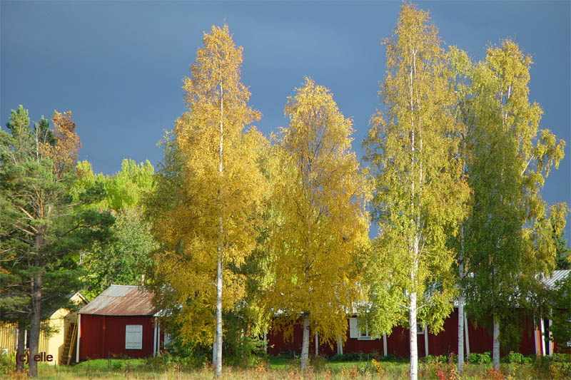 Lule - Gammelstads Kirkstad
