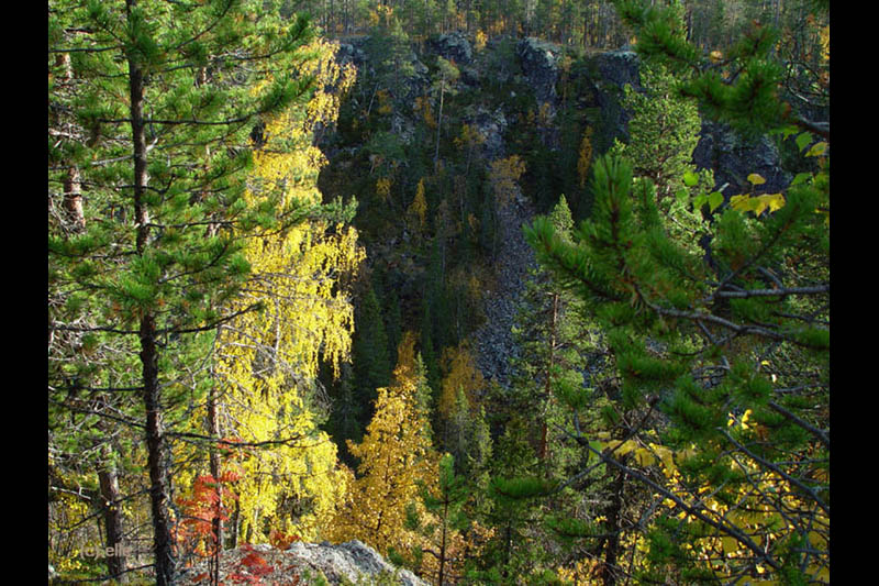 Masugnsbyn - Naturreservat mit Canyon