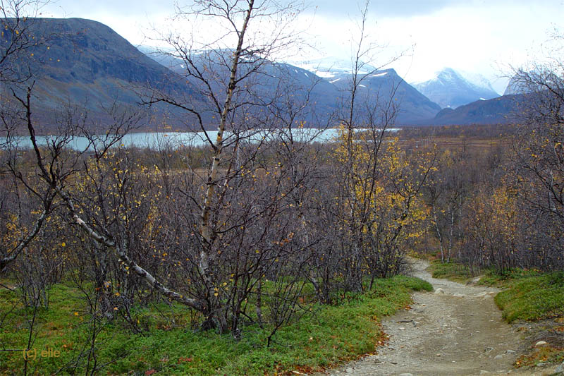 Nikkaluokta - Kebnekaise in Sicht
