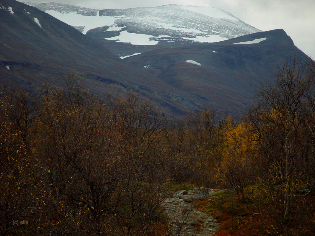 Nikkaluokta - Kebnekaise in Sicht