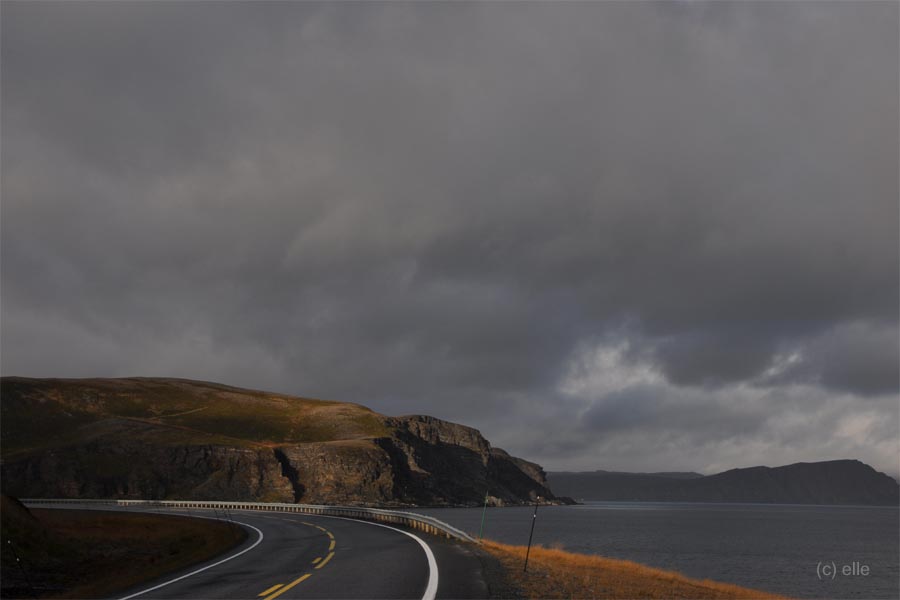 %%ALTERNATIVER TEXT%%