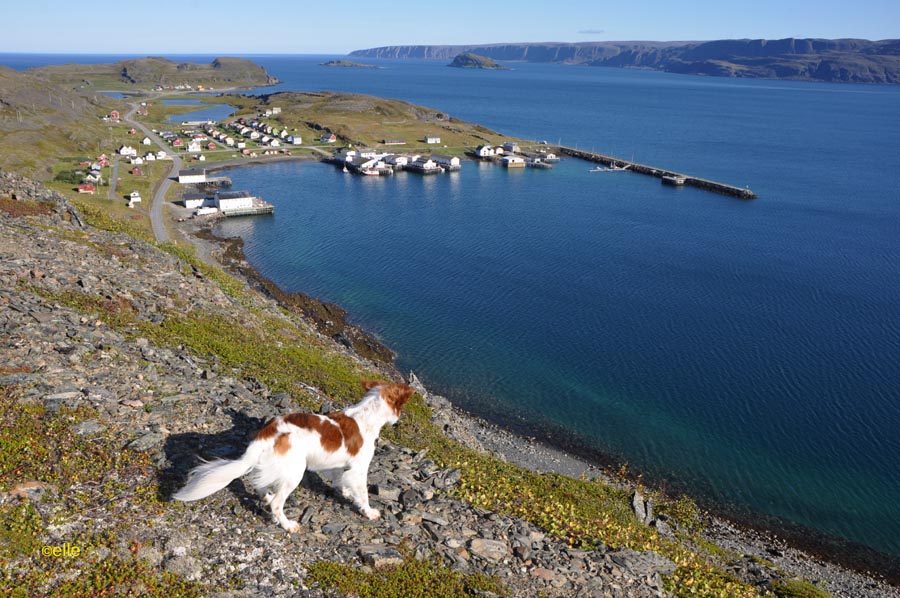 NORDNORWEGEN im HERBST 2011