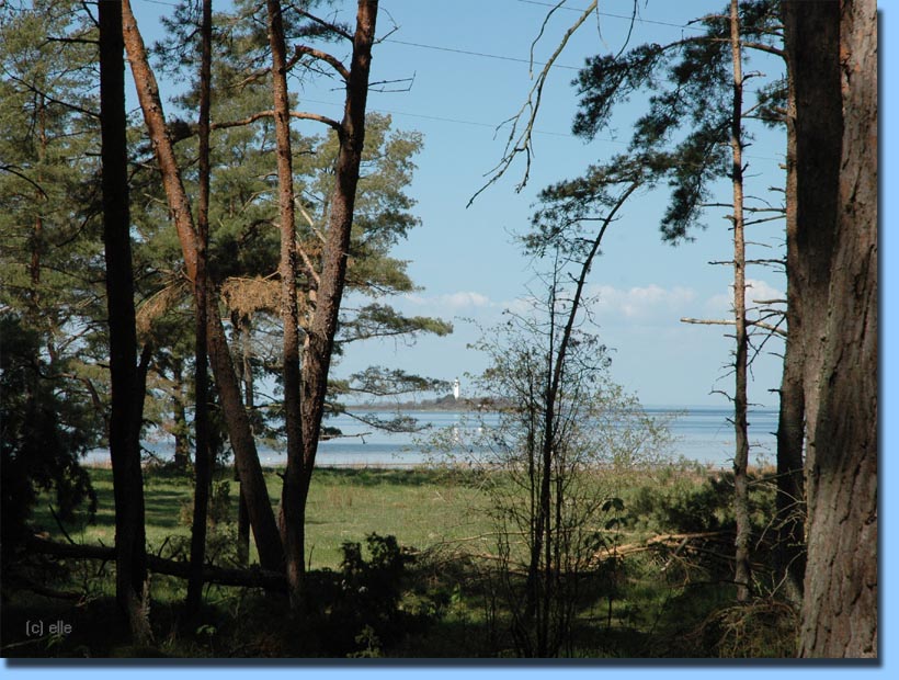 Långe Erik, Leuchtturm, Blick vom Trollwald, Grankullaviken