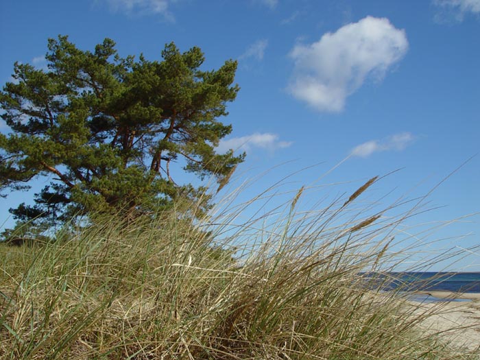 Naturreservat Vitemlla