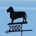 Hund, Jahr 2000