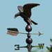 Adler; Seeadler