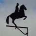 Pfern mit Reiter; Pferd