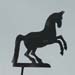 Pferd auf Hinterh�nden; Pferd
