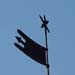 Standarte, Stern