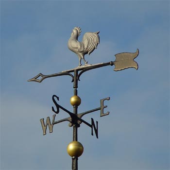 Stolzierender Hahn auf Pfeil