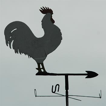 Wei�er Hahn auf Pfeil
