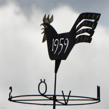 Jahr 1959, Kr�hender Hahn
