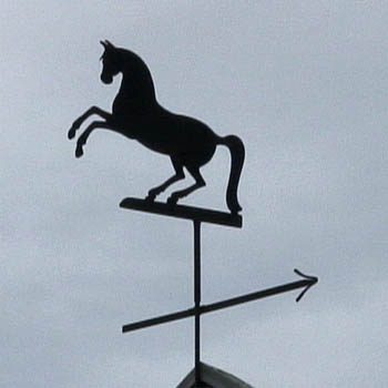 Pferd auf Hinterbeinen