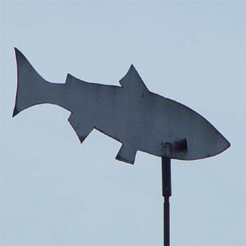 Fisch