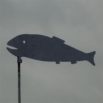 Fisch