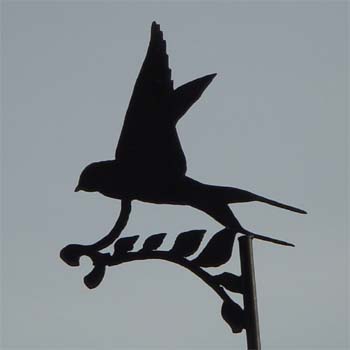 Fliegende Schwalbe; Schwalbe