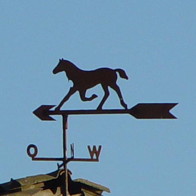 Galoppierendes Pferd auf Pfeil, Pferd, Pfeil