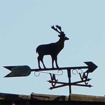Hirsch auf Pfeil, Hirsch