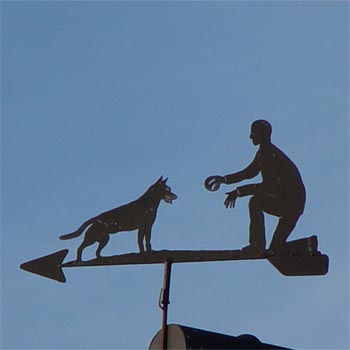 Mann f�ttert Hund