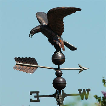 Adler; Seeadler
