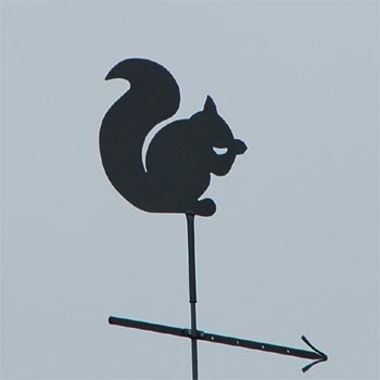 Eichh�rnchen