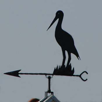 Storch