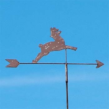 Hirsch, springend