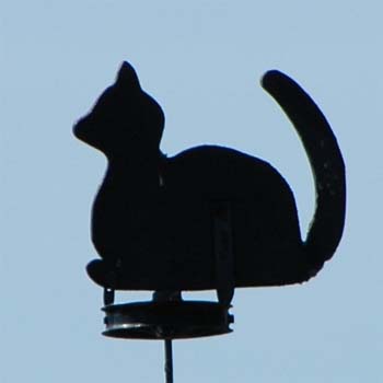 Katze, sitzend