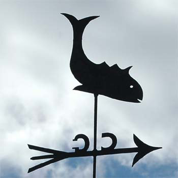 Fisch