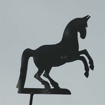 Pferd auf Hinterh�nden; Pferd