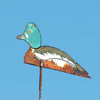Schwimmende Ente; Ente