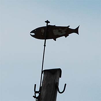 Fisch