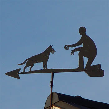 Mann f�ttert Hund