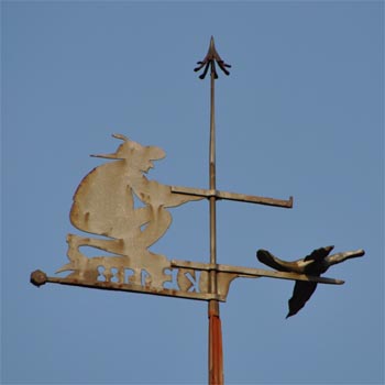 J�ger schie�t auf Vogel
